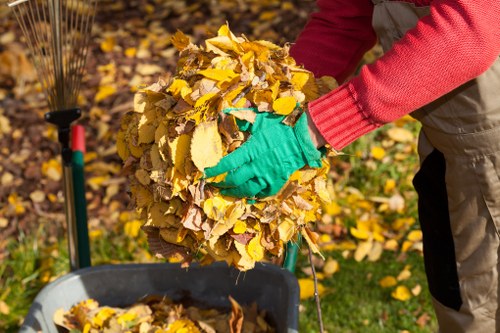 Implementing effective waste management strategies in a Richmond office